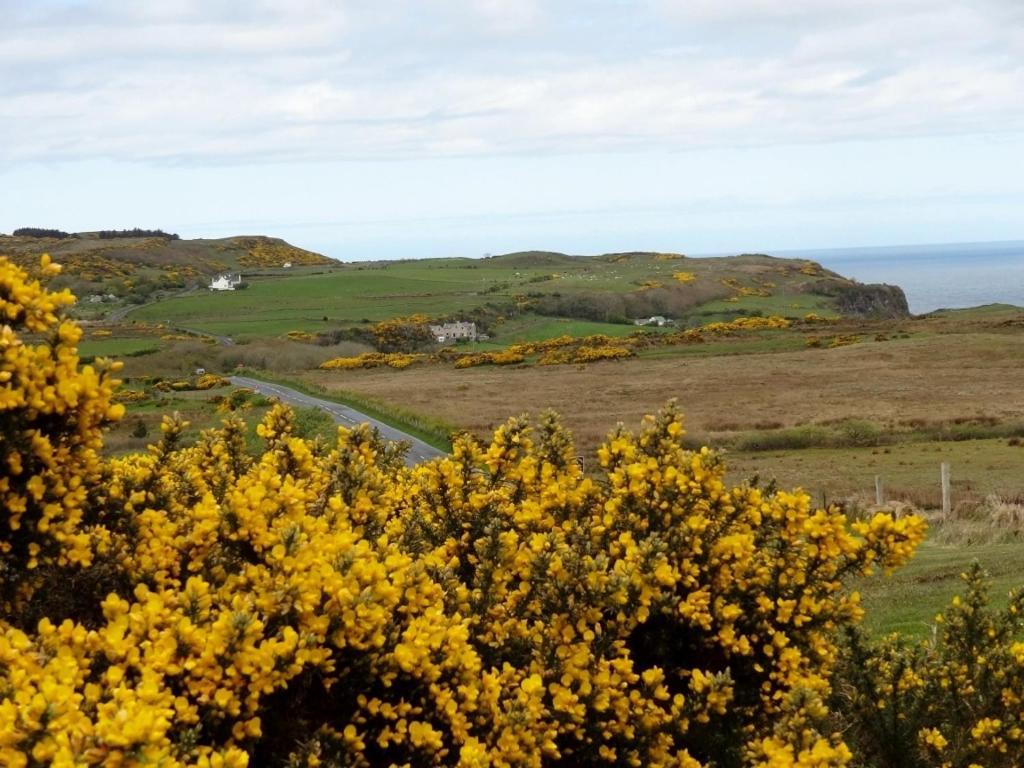 Glenmore House Ballycastle Zewnętrze zdjęcie